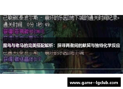 魔鸟与老马的完美搭配解析：探寻两者间的默契与独特化学反应